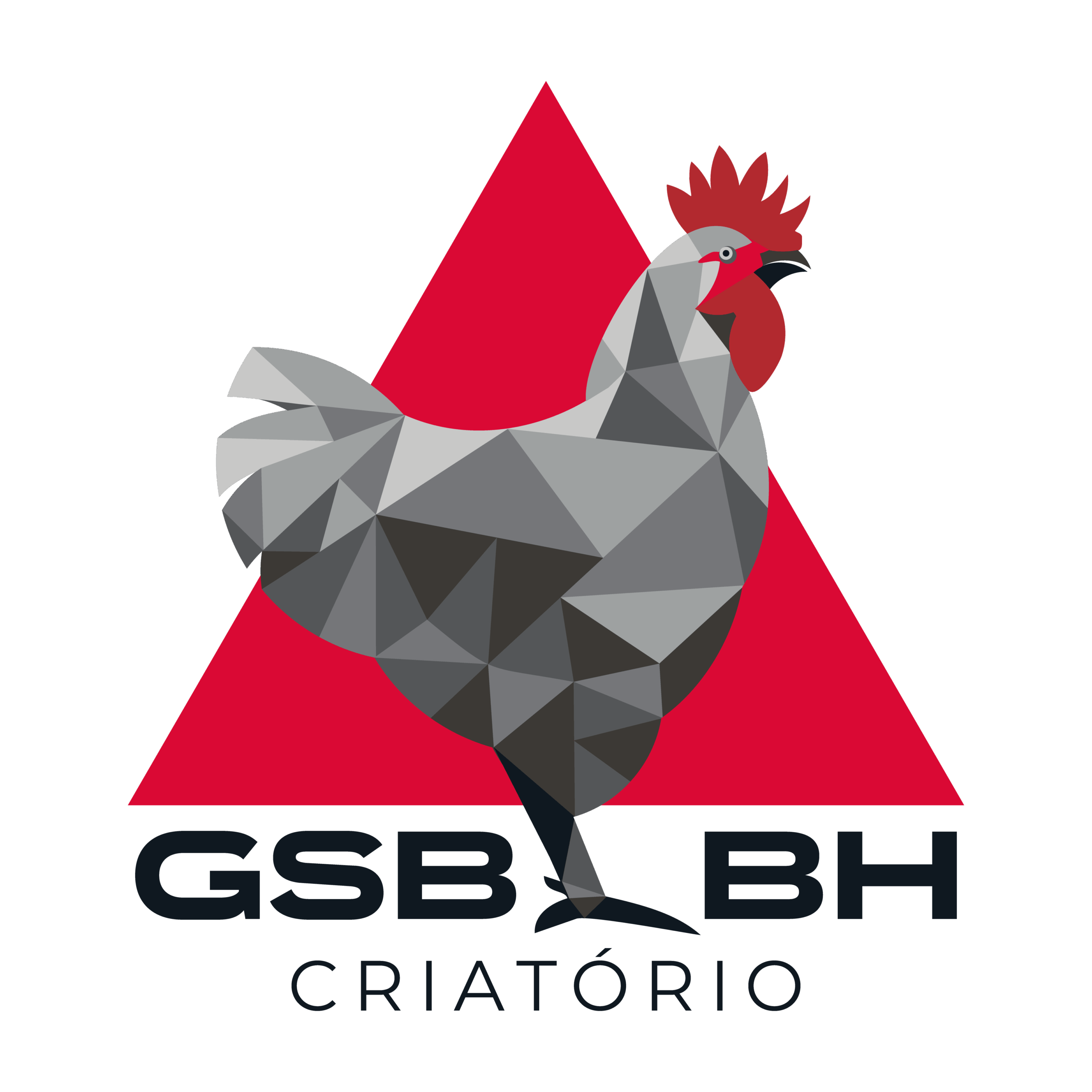LOGO GSB BH principal-transparente